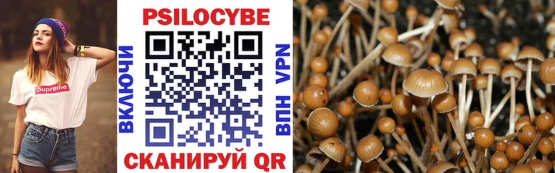 Псилоцибиновые грибы Psilocybine cubensis  Нарткала 